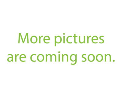 Round Economy Extra | No Change Room